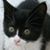 Missy Simpson's profile image