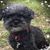 Jackie Scerca Imhoff's profile image