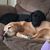 Carolyn McGinty's profile image
