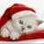 Hope Rose's profile image