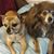 Connie Hughey's profile image