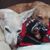 Patti Rivard's profile image