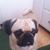 Diane Curfman's profile image