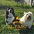 Pamela Gail Dean Beisner's profile image