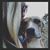 Bethany Groves's profile image