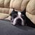 Elizabeth Coffey's profile image