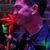 Michael Dane Hough's profile image
