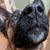 Jonathan Wellington's profile image