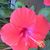 Jackie Coates's profile image