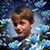 Tammie Seibert's profile image