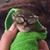 Becky Kasper's profile image