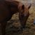 Marsha Jo Winsett's profile image