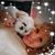 Rosemary Deno's profile image
