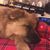 Carol Kessinger's profile image