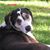 Sandie Lester Murray's profile image