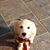 Amy Suzanne Merritt's profile image