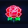 LIZETTE M.'s profile image