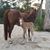 Jacqueline Watskin's profile image