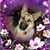 Janie Newsom Tapley's profile image