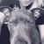 Christina Marie's profile image