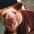 Brian Steinberg's profile image