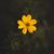 Zuberi Zareen's profile image