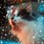 Tammie Marshall-Mackey's profile image