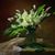 Lea Bergschneider's profile image