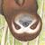 Matt Mulford's profile image