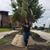 Blankis Flores's profile image