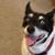 Ron Kazmierczak's profile image
