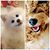 Susan Denise White's profile image