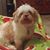 Vicki Allinger's profile image