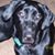 Jason Bowers's profile image