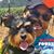 Maria Bartlow-Reed's profile image