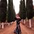 Deshire Arredondo's profile image
