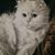 Donna-Marie Emily's profile image