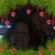 Teresa Ann Stanford's profile image