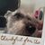 RickCarol Murphy's profile image