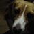 Bonnie Friedrich-Dukes's profile image