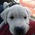 Bethany Boyles's profile image