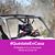 Yolanda Salazar Solis's profile image