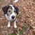 Mary Lynn Phillips's profile image