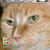 Mary Walton's profile image