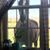 Shannon Bodin's profile image