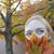 Ivy Banks's profile image