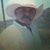 Bob Giacolone's profile image