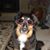 Dawn Gloeckler's profile image