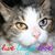 Paula Ginther's profile image
