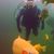 Christopher Lannoye's profile image
